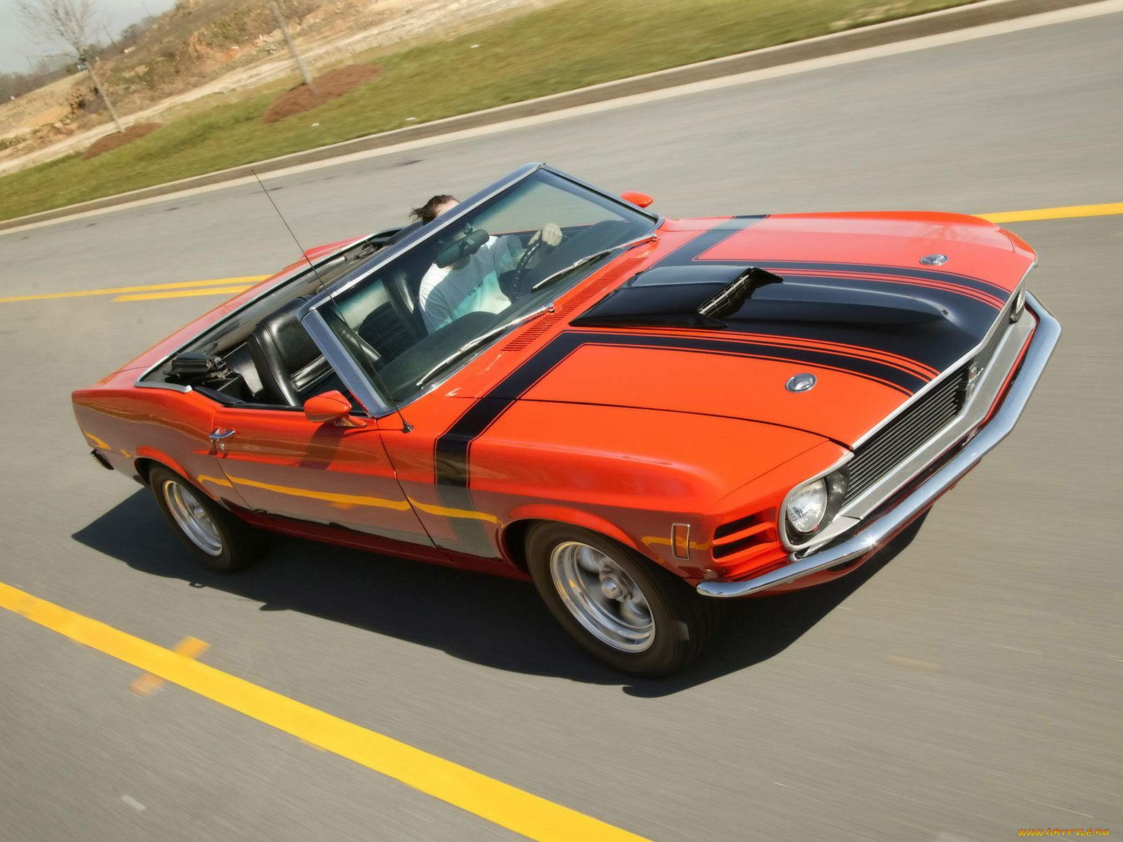 , mustang